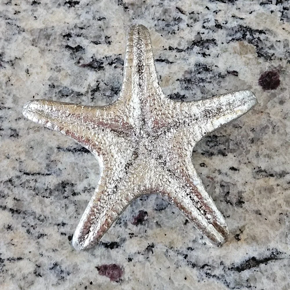 REGINA ANDREW MODERN SILVER STARFISH COASTAL BEACH VASE FILLER HOME TABLE DECOR